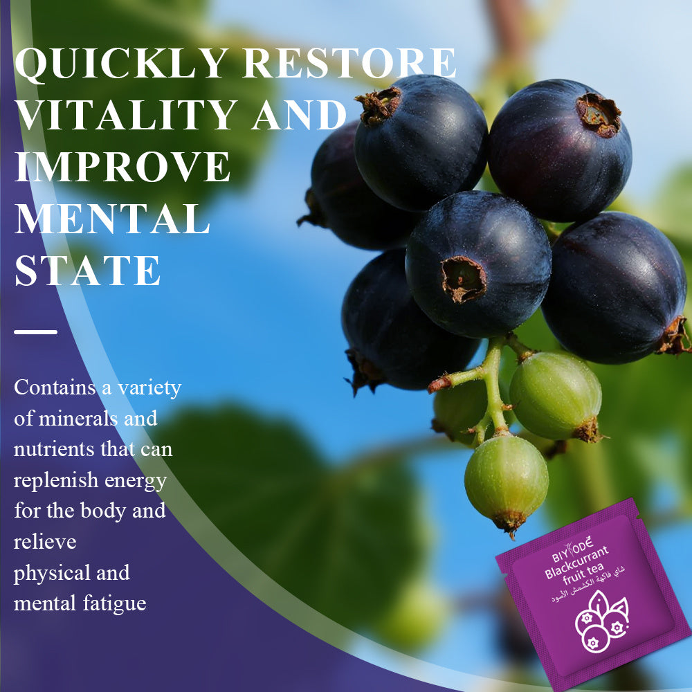 Wholesale Custom Private Label Blackcurrant Tea Bag Herbal Supplements OEM ODM Certificate Manufacturer Factory GMP HALAL NSF COA Rich In Antioxidants